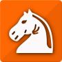 icon Follow Chess