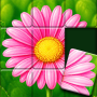 icon Jigsort®: Solitaire