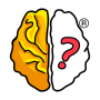 icon Brain Out