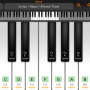 icon Grand Piano and Keyboard