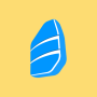 icon Rosetta Stone Classic (2024)