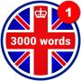 icon 3000 palabras: aprende inglés