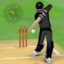 icon Smashing Cricket