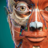 icon Anatomy Learning 3.2.521