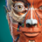 icon Anatomy Learning 3.2.533